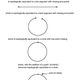 Image for article titled Does infinity really exist?